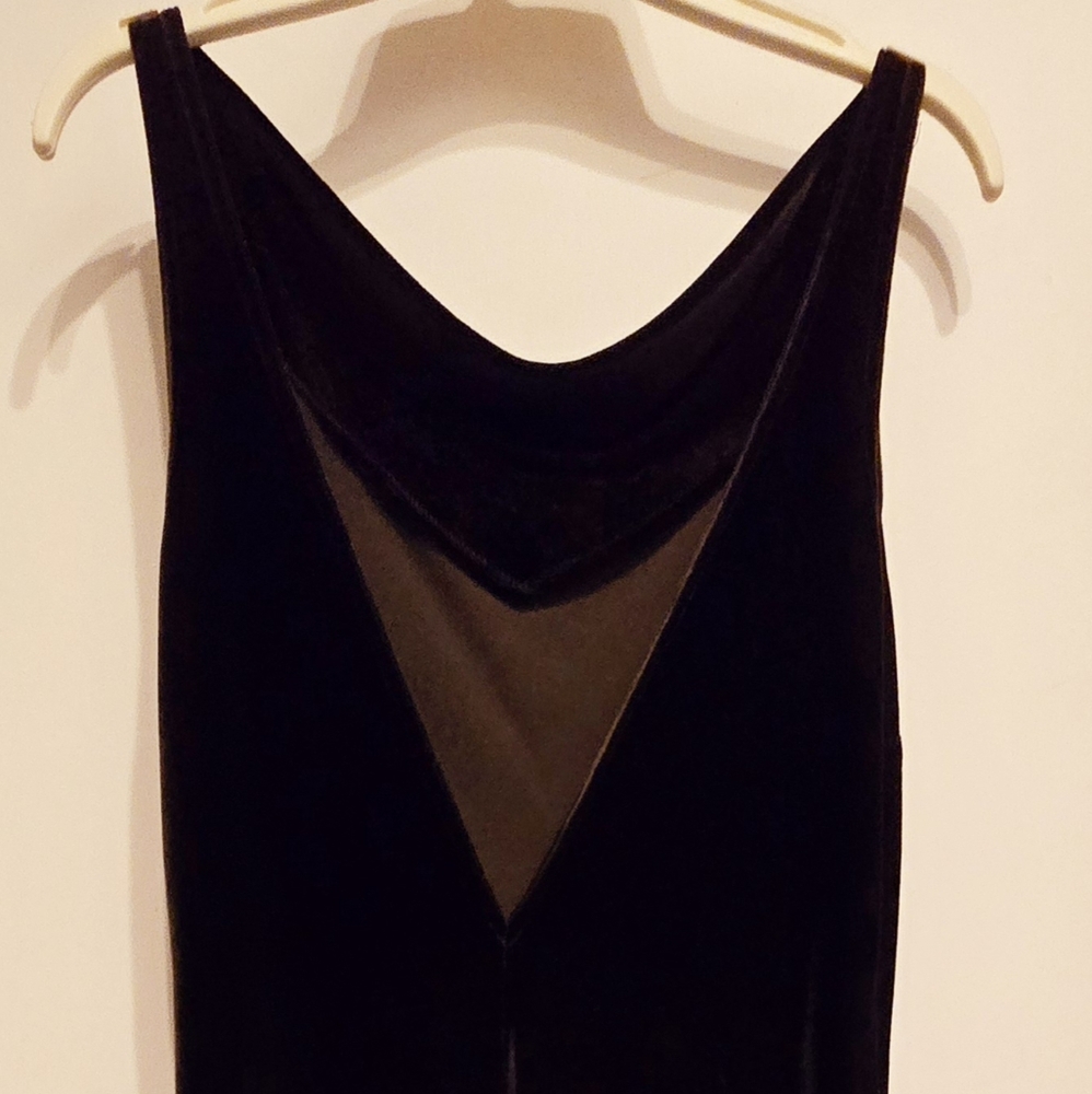 Vintage Ann Taylor "Velvet-Style" Dress